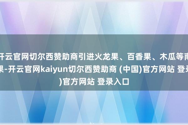 开云官网切尔西赞助商引进火龙果、百香果、木瓜等南边生果-开云官网kaiyun切尔西赞助商 (中国)官方网站 登录入口