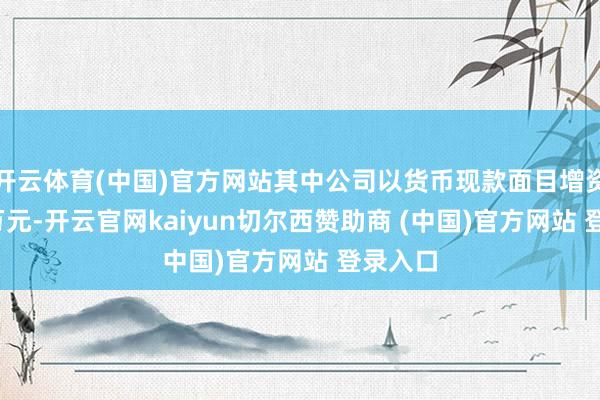 开云体育(中国)官方网站其中公司以货币现款面目增资8820万元-开云官网kaiyun切尔西赞助商 (中国)官方网站 登录入口