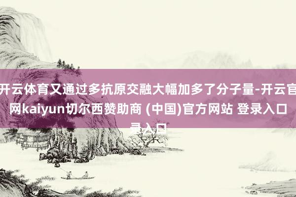 开云体育又通过多抗原交融大幅加多了分子量-开云官网kaiyun切尔西赞助商 (中国)官方网站 登录入口
