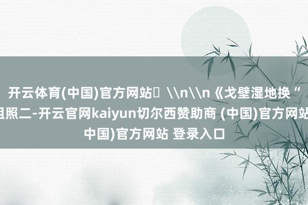 开云体育(中国)官方网站​\n\n《戈壁湿地换“金装”》组照二-开云官网kaiyun切尔西赞助商 (中国)官方网站 登录入口