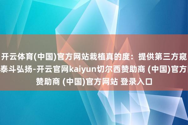 开云体育(中国)官方网站栽植真的度：提供第三方窥探机构出具的泰斗弘扬-开云官网kaiyun切尔西赞助商 (中国)官方网站 登录入口